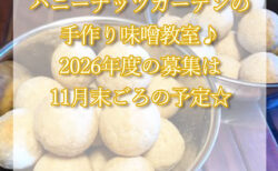 2026年度【福岡】厳選素材の手作り味噌教室は11月後半ごろお申し込み開始予定です☆