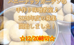 2026年度【福岡】厳選素材の手作り味噌教室お申込受付開始☆